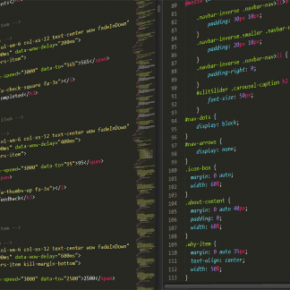 Basic Website Development